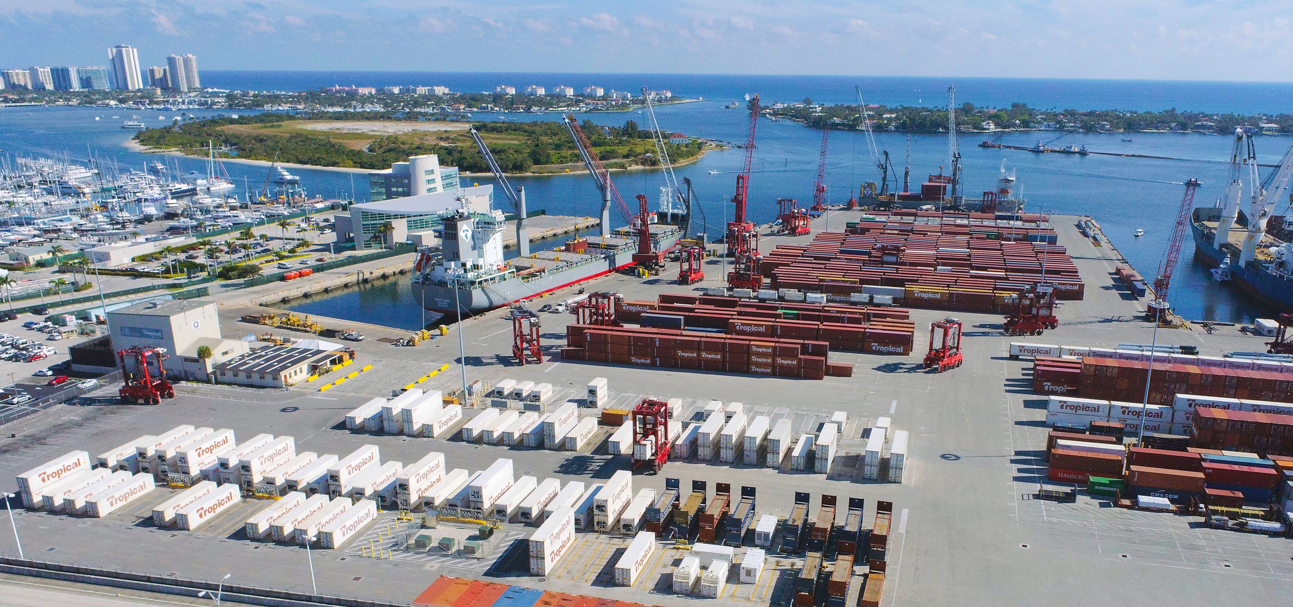 Tropical Yard From Bridge 