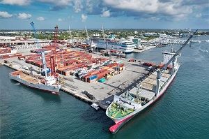 Summer Interns website photo